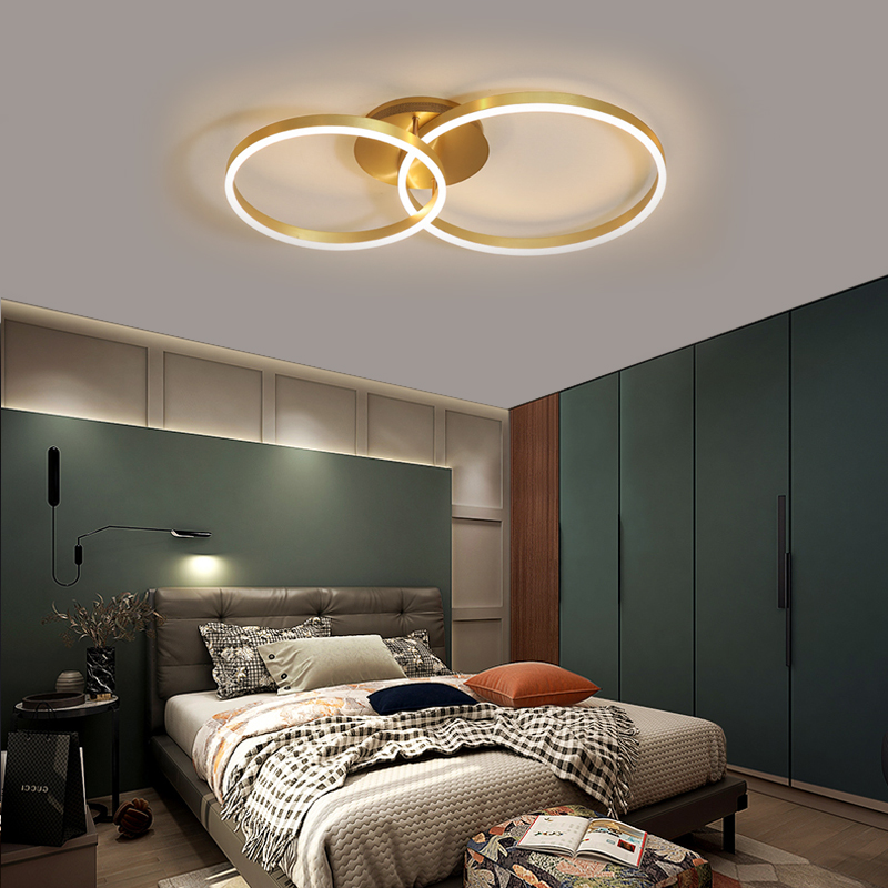 Kitchen Appliances Drawing - 2026 Nordic LED Ring Ceiling Chandelier