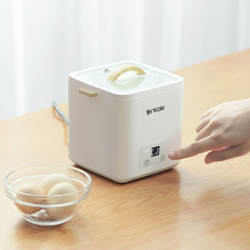 4 Eggs Boiler Steamer Multi Fu - Egg Cooker Rapid recension och pris
