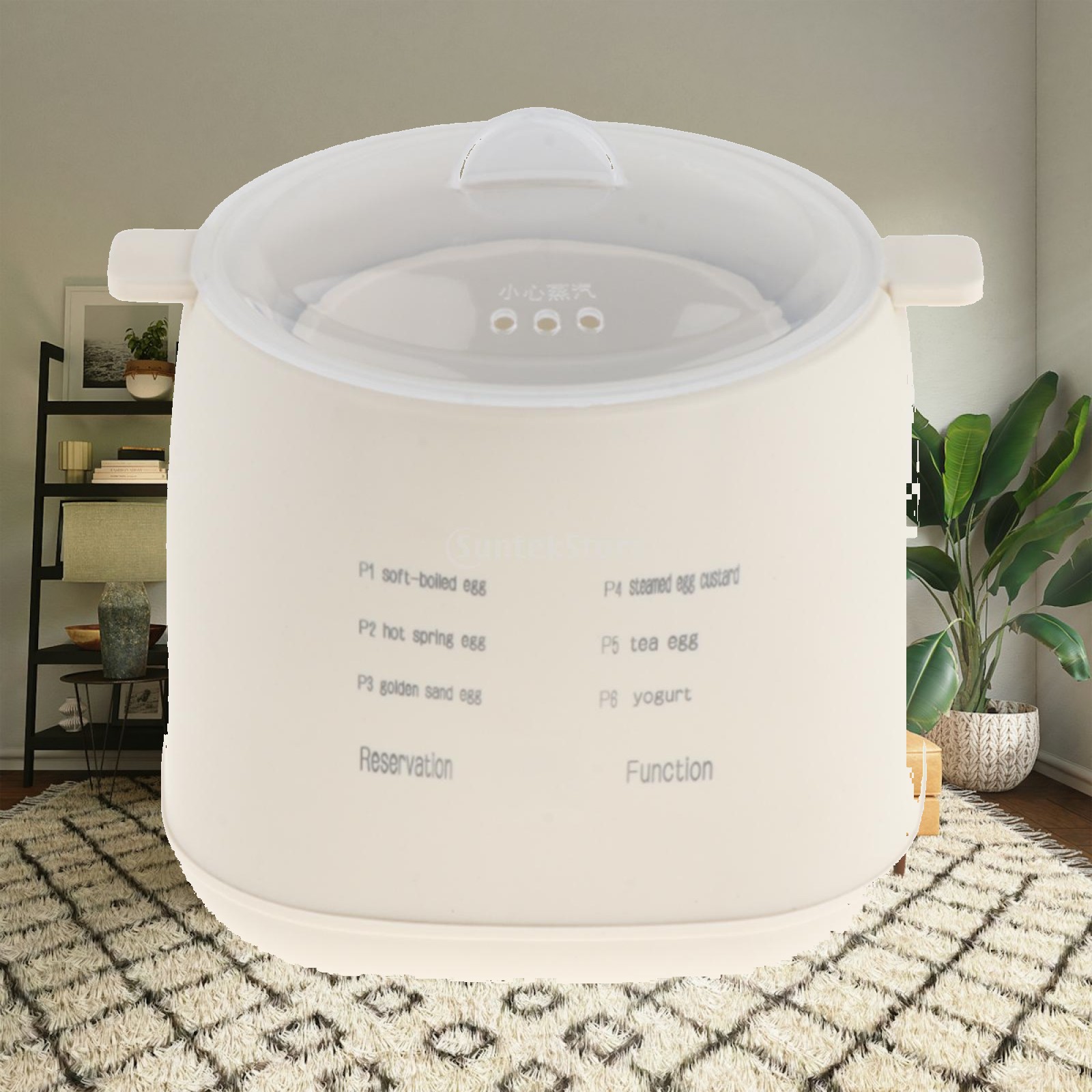 Rapid Electric Egg Cooker Easy - Egg Cooker Rapid recension och pris