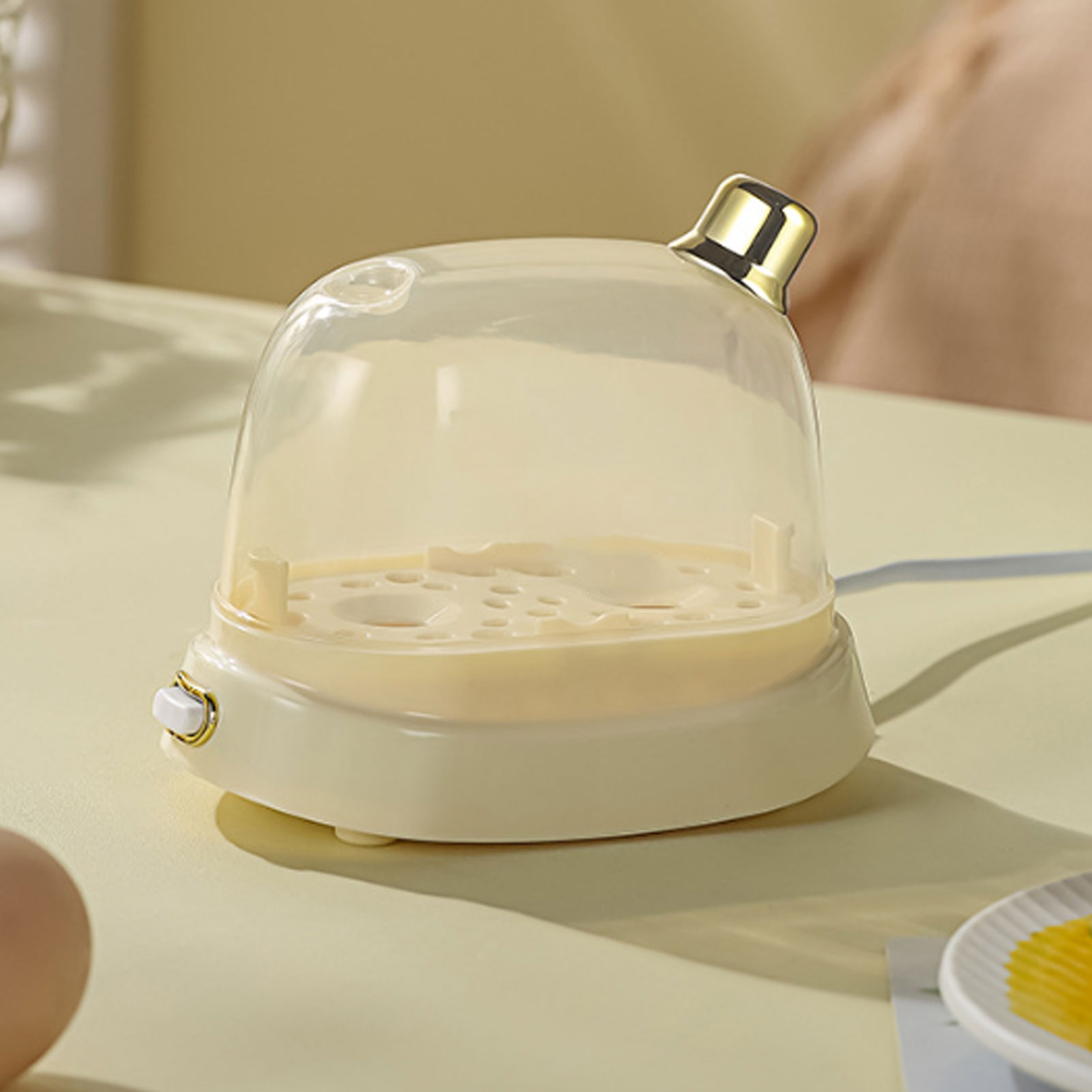 Rapid Egg Cooker 2 Egg Capacit - Egg Cooker Rapid recension och pris
